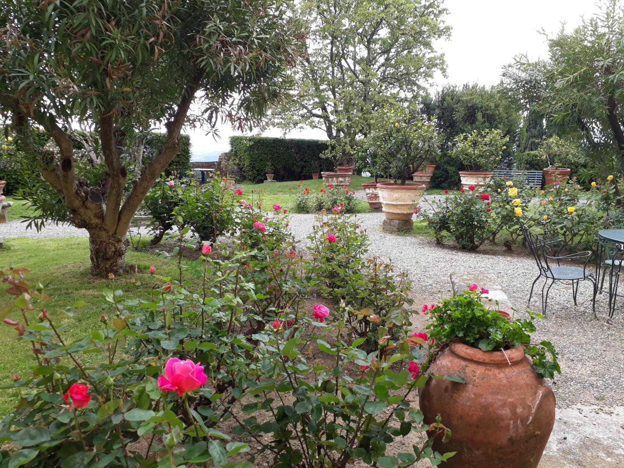 Fattoria Gambaro Di Petrognano Villa Collodi Dış mekan fotoğraf